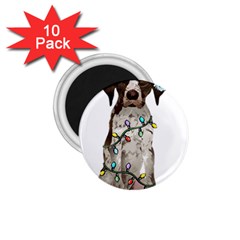 German Shorthaired Pointer Dog T- Shirt German Shorthaired Pointer Santa Christmas Tree Lights Xmas 1 75  Magnets (10 Pack)  by ZUXUMI