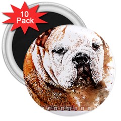 Bulldog T- Shirt English Bulldog Animal Wildlife Forest Nature Discovery Fauna T- Shirt 3  Magnets (10 Pack)  by JamesGoode