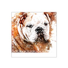 Bulldog T- Shirt English Bulldog Animal Wildlife Forest Nature Discovery Fauna T- Shirt Satin Bandana Scarf 22  X 22  by JamesGoode