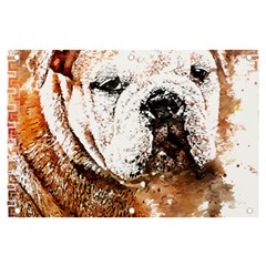 Bulldog T- Shirt English Bulldog Animal Wildlife Forest Nature Discovery Fauna T- Shirt Banner And Sign 6  X 4  by JamesGoode