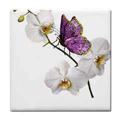 Butterfly Art T- Shirtbutterfly T- Shirt (2) Tile Coaster by JamesGoode