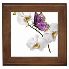 Butterfly Art T- Shirtbutterfly T- Shirt (2) Framed Tile