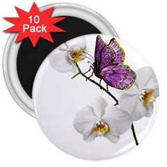 Butterfly Art T- Shirtbutterfly T- Shirt (2) 3  Magnets (10 pack) 