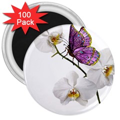 Butterfly Art T- Shirtbutterfly T- Shirt (2) 3  Magnets (100 pack)