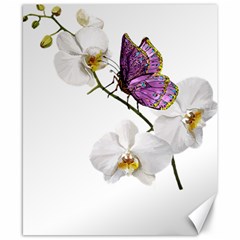 Butterfly Art T- Shirtbutterfly T- Shirt (2) Canvas 8  x 10 