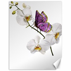 Butterfly Art T- Shirtbutterfly T- Shirt (2) Canvas 12  x 16 