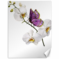 Butterfly Art T- Shirtbutterfly T- Shirt (2) Canvas 36  x 48 