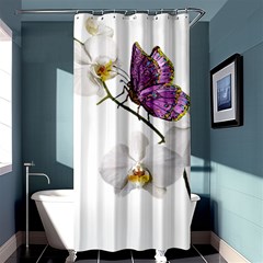 Butterfly Art T- Shirtbutterfly T- Shirt (2) Shower Curtain 36  x 72  (Stall) 