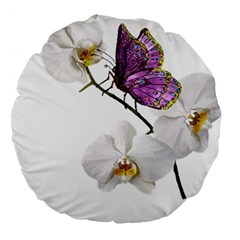 Butterfly Art T- Shirtbutterfly T- Shirt (2) Large 18  Premium Round Cushions