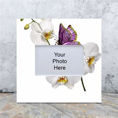 Butterfly Art T- Shirtbutterfly T- Shirt (2) White Box Photo Frame 4  x 6 