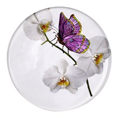 Butterfly Art T- Shirtbutterfly T- Shirt (2) Round Glass Fridge Magnet (4 pack)