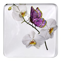 Butterfly Art T- Shirtbutterfly T- Shirt (2) Square Glass Fridge Magnet (4 pack)