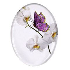 Butterfly Art T- Shirtbutterfly T- Shirt (2) Oval Glass Fridge Magnet (4 pack)