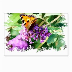 Butterfly T- Shirt Butterfly & Buddleia T- Shirt Postcard 4 x 6  (pkg Of 10) by JamesGoode