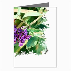 Butterfly T- Shirt Butterfly & Buddleia T- Shirt Greeting Cards (pkg Of 8)