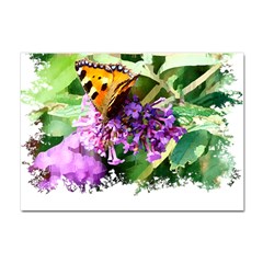 Butterfly T- Shirt Butterfly & Buddleia T- Shirt Crystal Sticker (a4) by JamesGoode