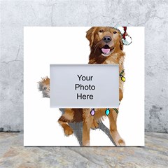 Golden Retriever Dog T- Shirt Golden Retriever Dog Santa Christmas Tree Lights Xmas T- Shirt White Box Photo Frame 4  X 6  by ZUXUMI