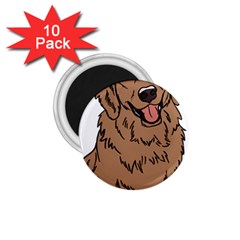 Golden Retriever T- Shirt A Golden Retriever T- Shirt 1 75  Magnets (10 Pack) 