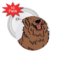 Golden Retriever T- Shirt A Golden Retriever T- Shirt 2 25  Buttons (10 Pack) 