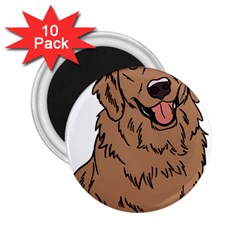 Golden Retriever T- Shirt A Golden Retriever T- Shirt 2 25  Magnets (10 Pack) 