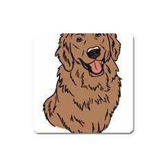 Golden Retriever T- Shirt A Golden Retriever T- Shirt Square Magnet