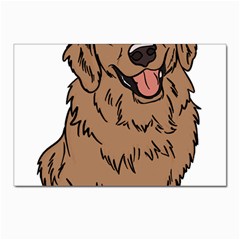 Golden Retriever T- Shirt A Golden Retriever T- Shirt Postcard 4 x 6  (pkg Of 10)