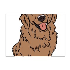 Golden Retriever T- Shirt A Golden Retriever T- Shirt Crystal Sticker (a4)