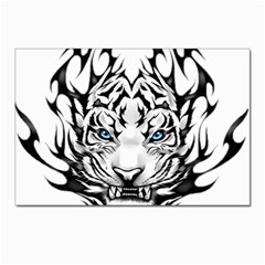 White And Black Tiger Postcard 4 x 6  (pkg Of 10) by Sarkoni