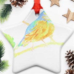 Bird Lover T- Shirtbird T- Shirt (22) Ornament (star) by EnriqueJohnson