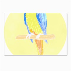 Bird Lover T- Shirtbird T- Shirt (25) Postcards 5  X 7  (pkg Of 10) by EnriqueJohnson