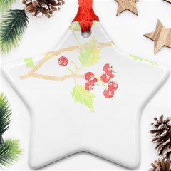 Bird Lover T- Shirtbird T- Shirt (35) Star Ornament (Two Sides)