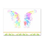 Butterfly Art T- Shirtbutterfly T- Shirt Sticker A4 (100 pack) Front