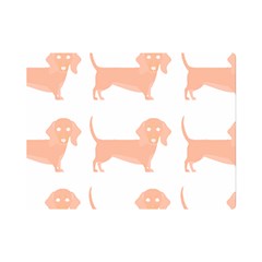 Dachshund Dog Pattern T- Shirt Brown Dachshund Dog Breed Cute Pattern T- Shirt Premium Plush Fleece Blanket (mini) by EnriqueJohnson