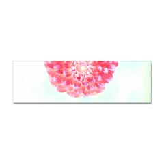 Flower T- Shirtflower T- Shirt Sticker (bumper) by EnriqueJohnson