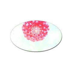 Flower T- Shirtflower T- Shirt Sticker Oval (100 pack)