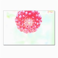 Flower T- Shirtflower T- Shirt Postcards 5  x 7  (Pkg of 10)