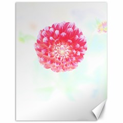 Flower T- Shirtflower T- Shirt Canvas 12  x 16 