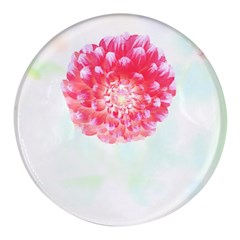 Flower T- Shirtflower T- Shirt Round Glass Fridge Magnet (4 pack)