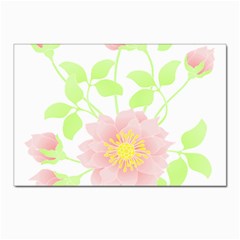 Flowers Illustration T- Shirtflowers T- Shirt (8) Postcards 5  x 7  (Pkg of 10)