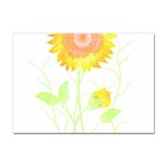 Flowers Lover T- Shirtflowers T- Shirt Sticker A4 (10 pack) Front