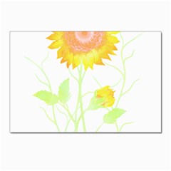 Flowers Lover T- Shirtflowers T- Shirt Postcards 5  X 7  (pkg Of 10) by EnriqueJohnson