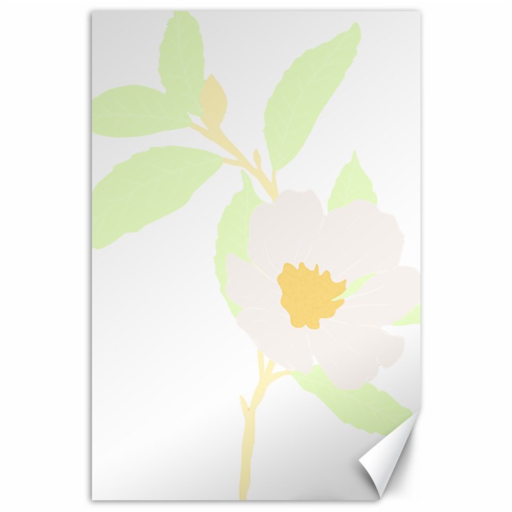 Flowers T- Shirtbeautiful Flowers T- Shirt Canvas 24  x 36 