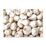 Garlic T- Shirt Garlic Bulbs Photograph T- Shirt Sticker A4 (10 pack) Front