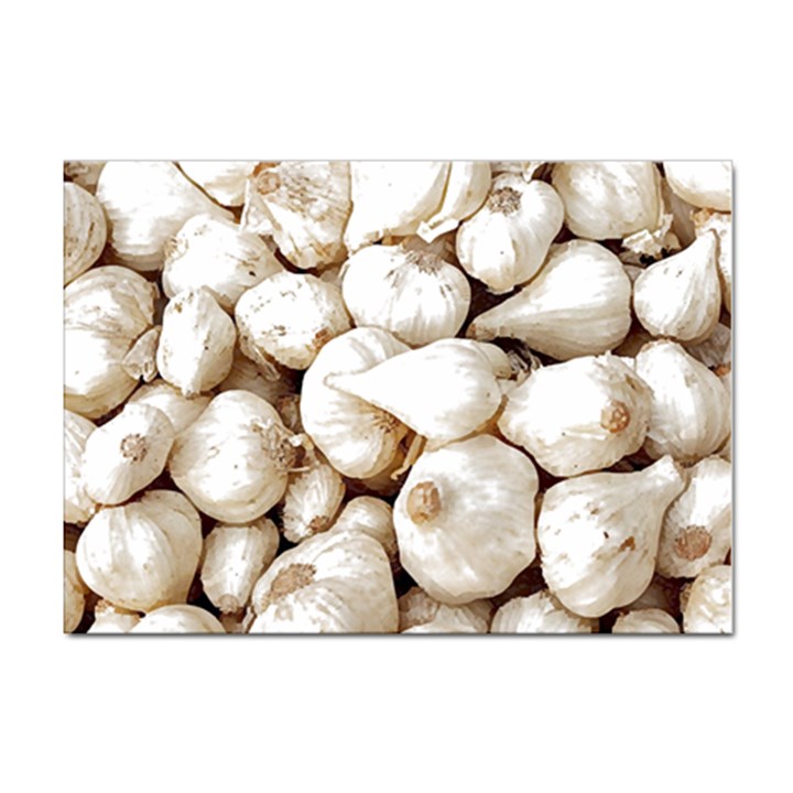 Garlic T- Shirt Garlic Bulbs Photograph T- Shirt Sticker A4 (10 pack)