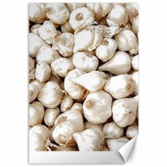 Garlic T- Shirt Garlic Bulbs Photograph T- Shirt Canvas 12  X 18  by EnriqueJohnson