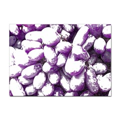 Grapes T- Shirt Purple Grapes Photo T- Shirt Sticker A4 (100 Pack) by EnriqueJohnson