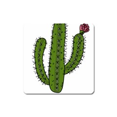 Cactus Desert Plants Rose Square Magnet by uniart180623