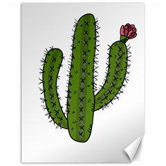 Cactus Desert Plants Rose Canvas 12  X 16  by uniart180623