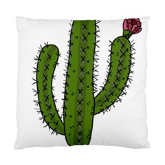 Cactus Desert Plants Rose Standard Cushion Case (one Side) by uniart180623