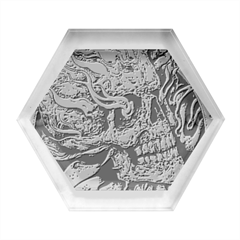 Human Skull  Skull Art Skeleton Illustration Hexagon Wood Jewelry Box by uniart180623